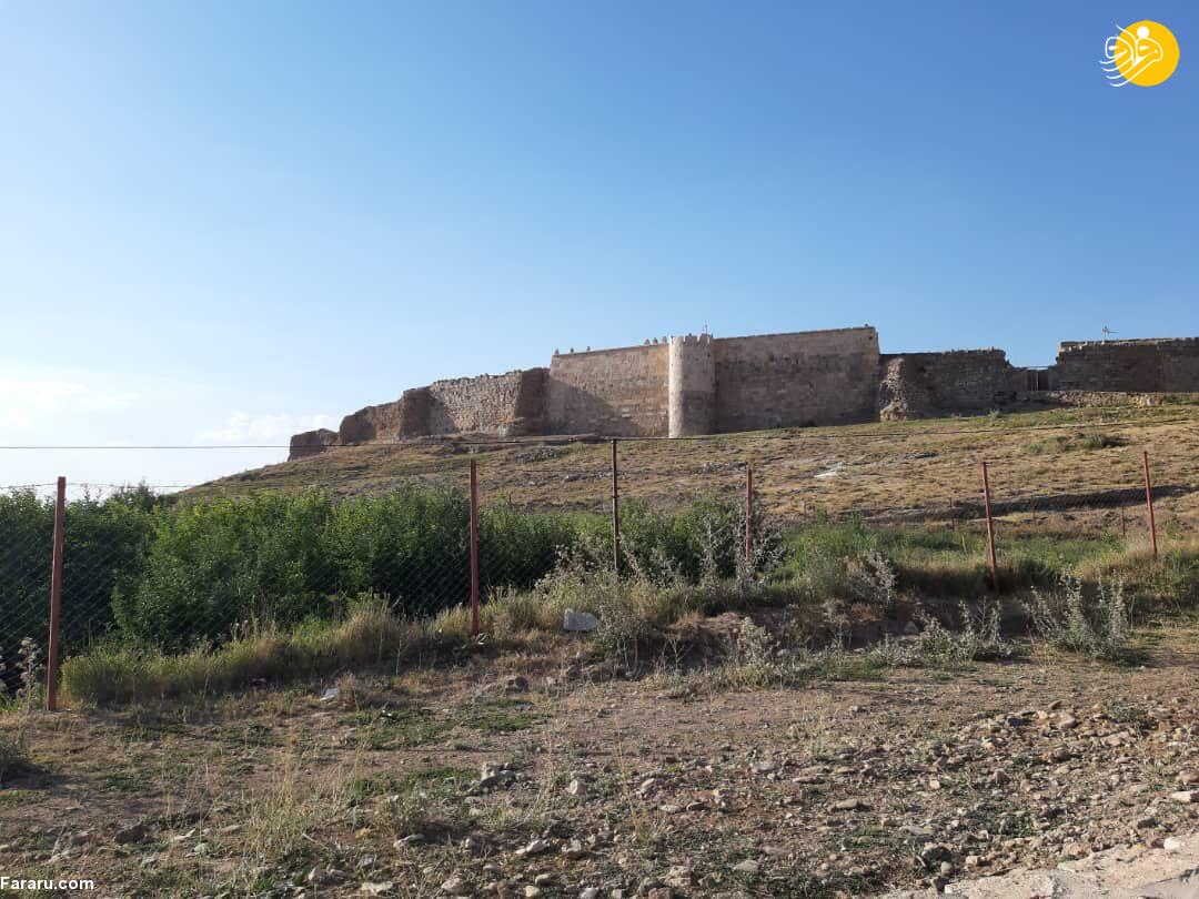 (تصاویر)