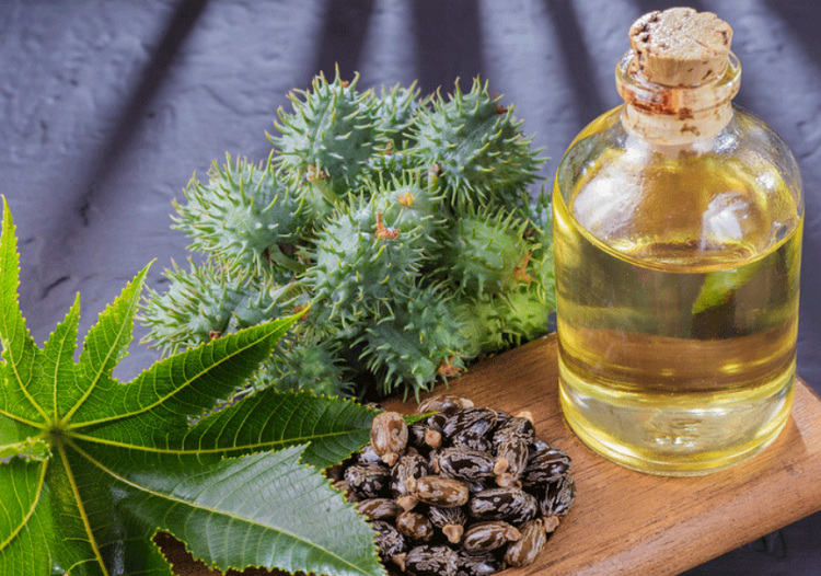 روغن کرچک اصل را چگونه تشخیص دهیم؟ روغن کرچک و خواص بی نظیر آن