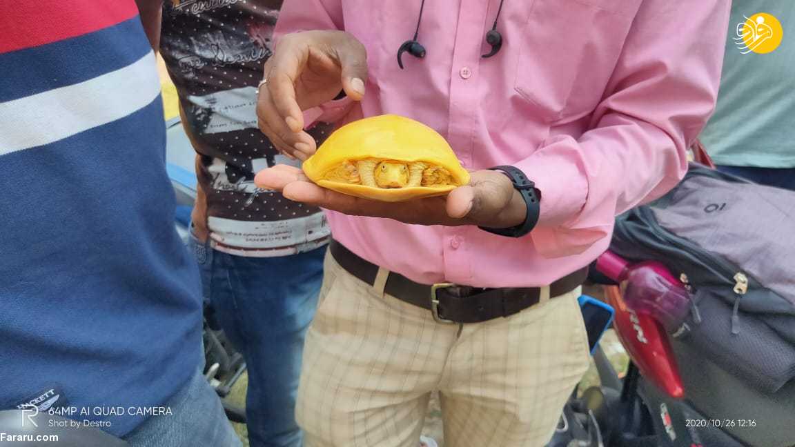 (عکس)