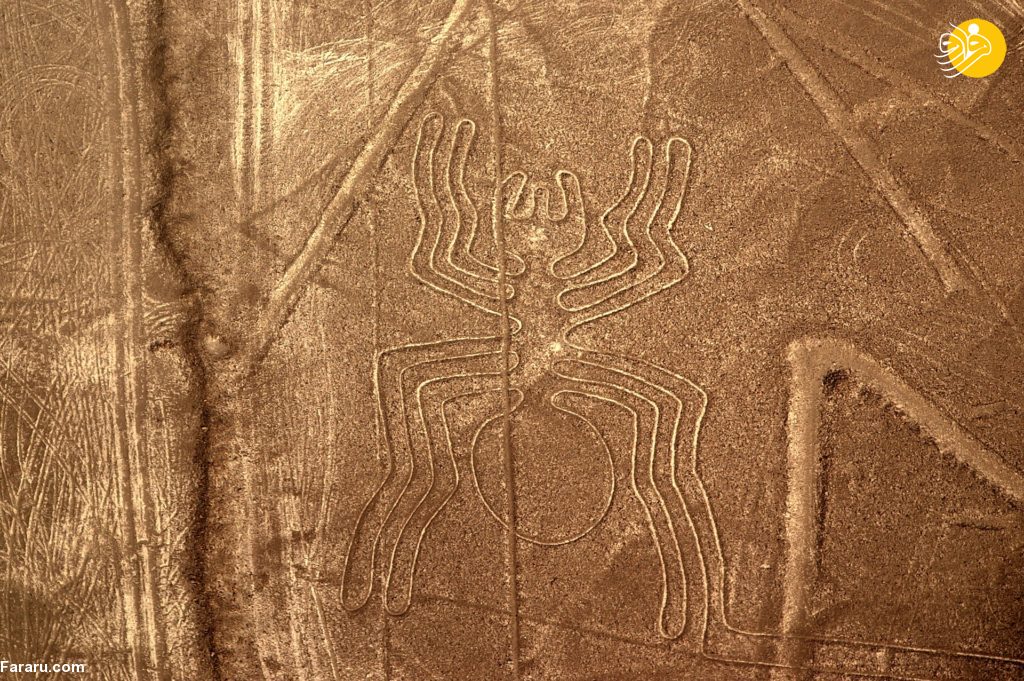 (تصاویر)