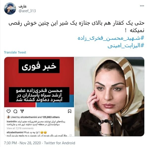 (تصاویر) کامنت توهین آمیز الیزابت امینی درباره شهید فخری‌ زاده؛ الیزابت امینی درباره ترور شهید فخری زاده چه گفت؟