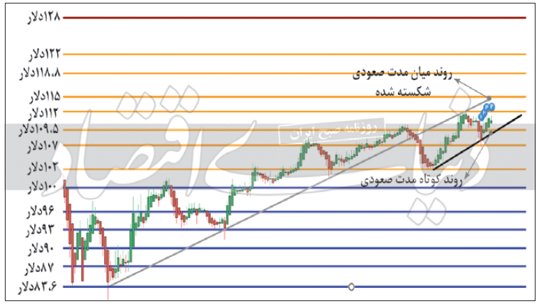 بررسی تکنیکال قیمت گوشت گاو زنده