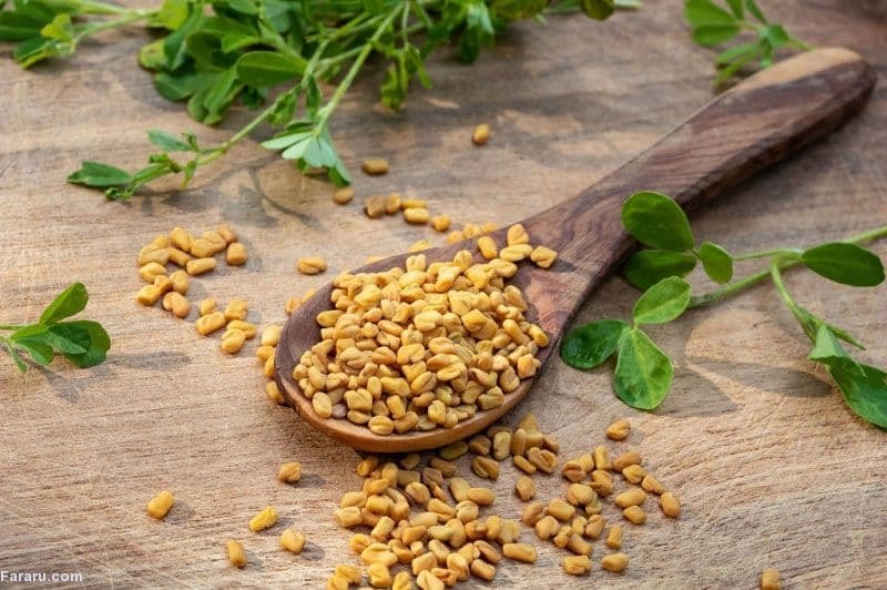 بذر شنبلیله