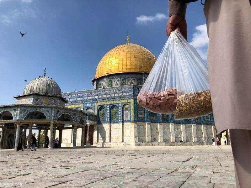 (ویدئو)