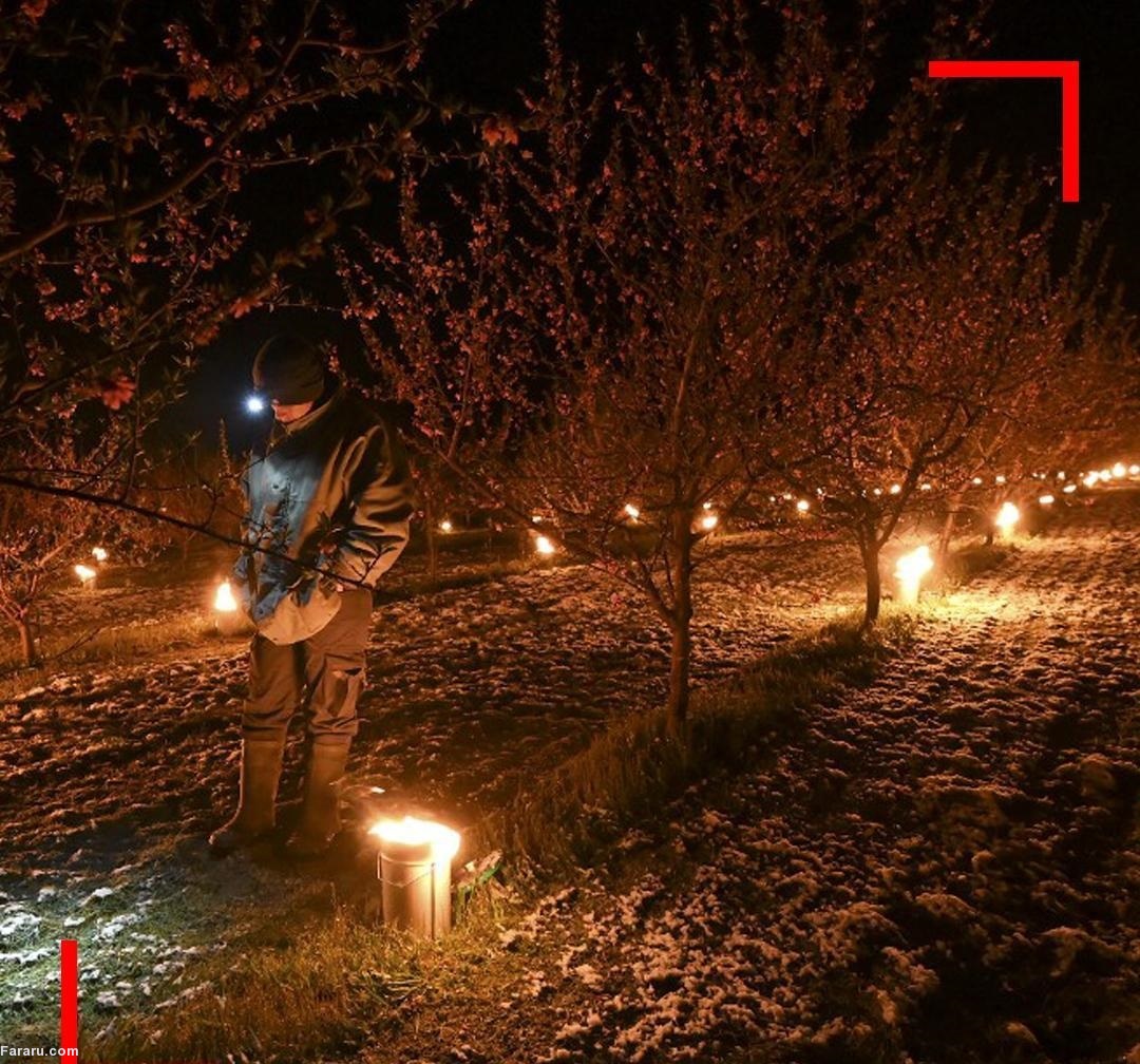 (ویدئو) (ویدئو)
