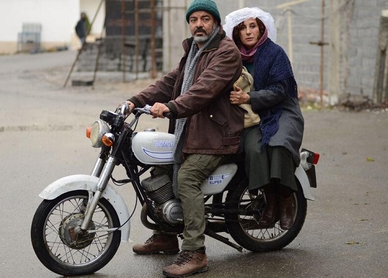 بنفشه آفریقایی