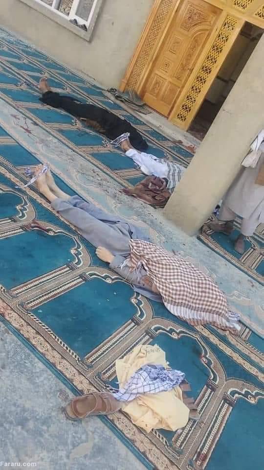 (تصاویر)