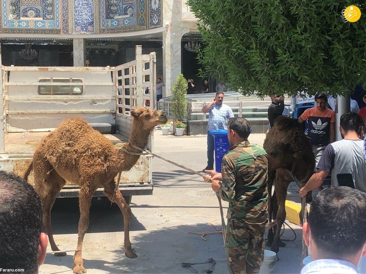 (عکس) فرمانده حشد الشعبی آزاد شد
