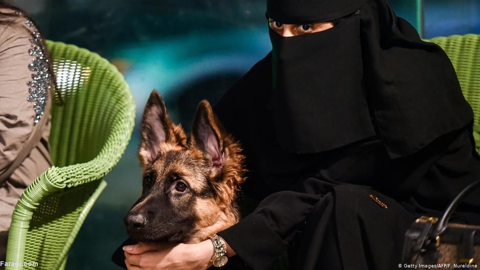 (ویدئو) (ویدئو)