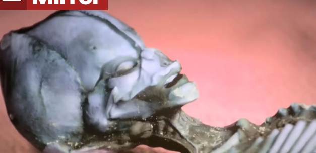 (تصاویر) راز اسکلت مرموز فاش شد