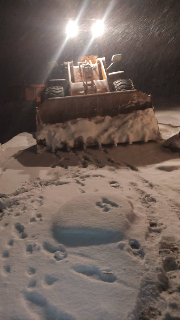 ماجرای نجات 