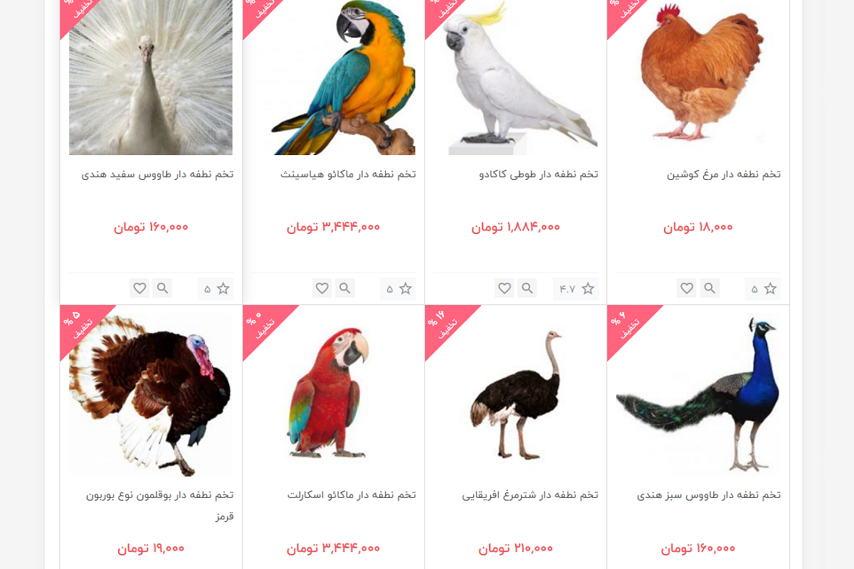 تخم پرندگان چند؟
