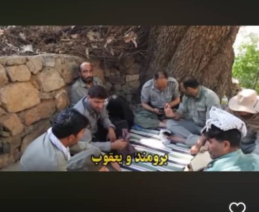 محیط بان کرمانشاهی