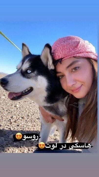 واکنش‌ها به حرکت جنجالی هانیه توسلی در کویر