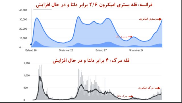 «قله مرگ» در کرونای اومیکرون بالاتر از دلتا