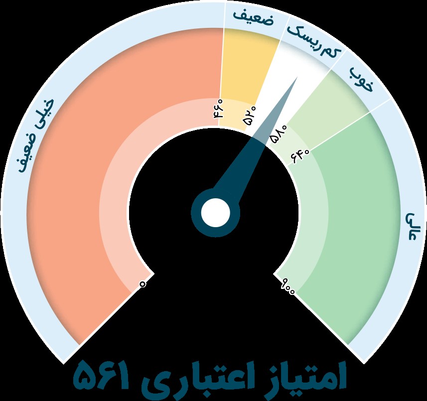 چگونگی بررسی رتبه اعتباری برای دریافت وام بدون ضامن