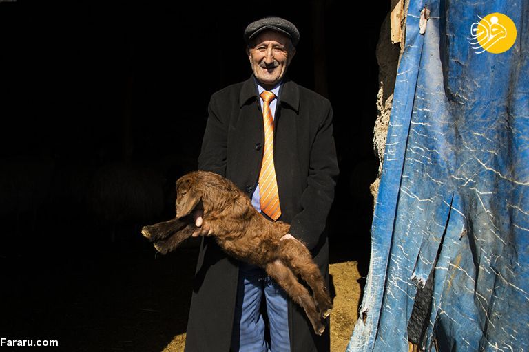 (تصاویر)