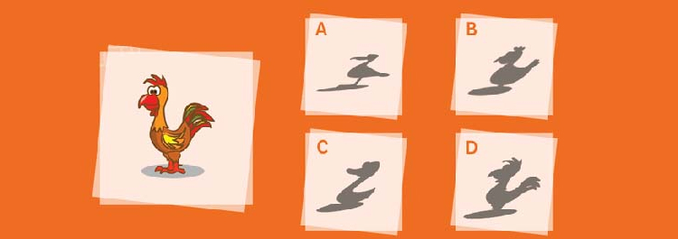 معما‌های تصویری جذاب همراه با جایزه نقدی ۶