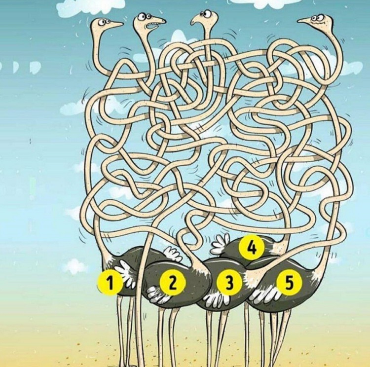 معما
