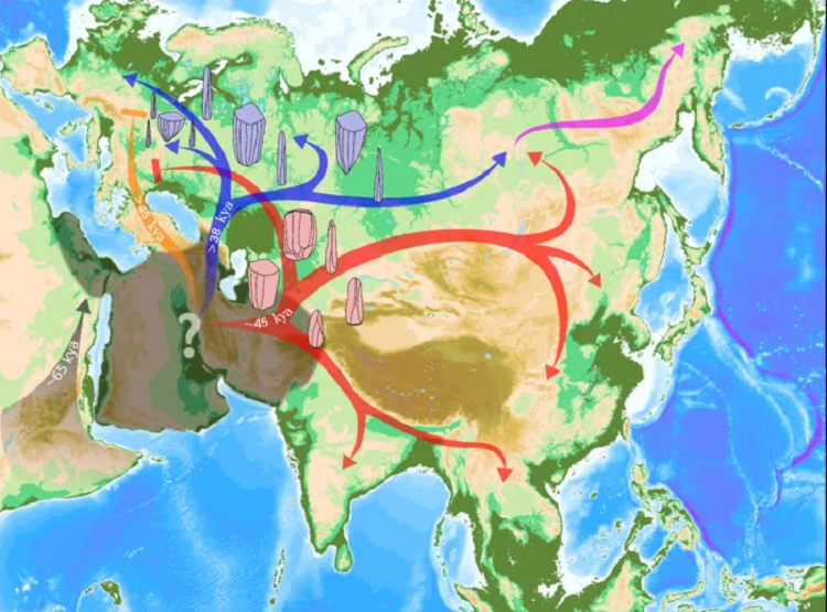 کشفی که داستان مهاجرت نسل ما از آفریقا را تغییر می‌دهد!