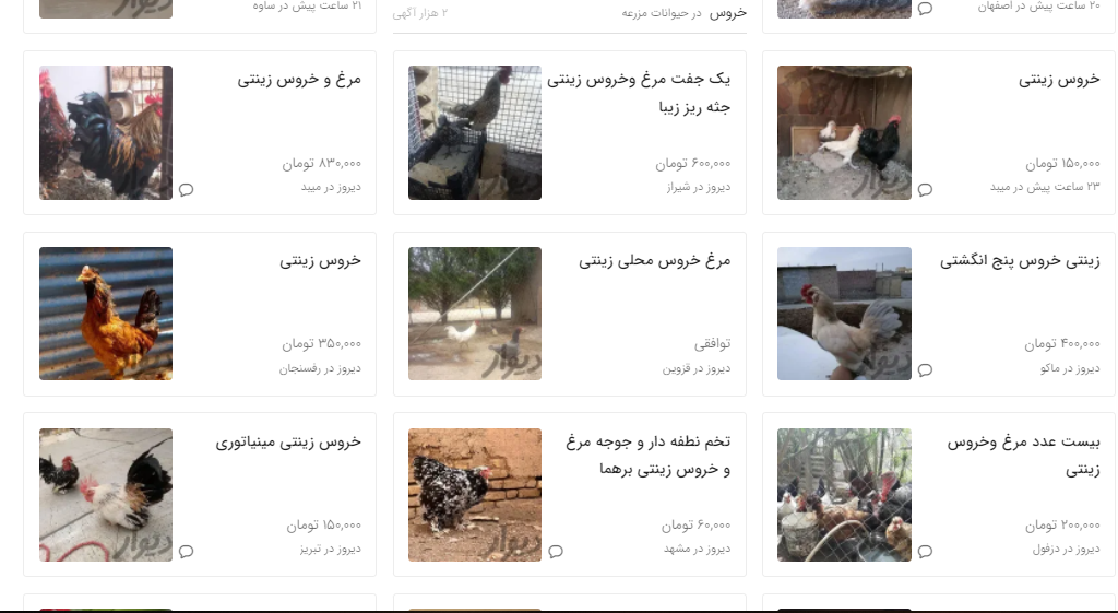 خروس محلی و زینتی چند؟