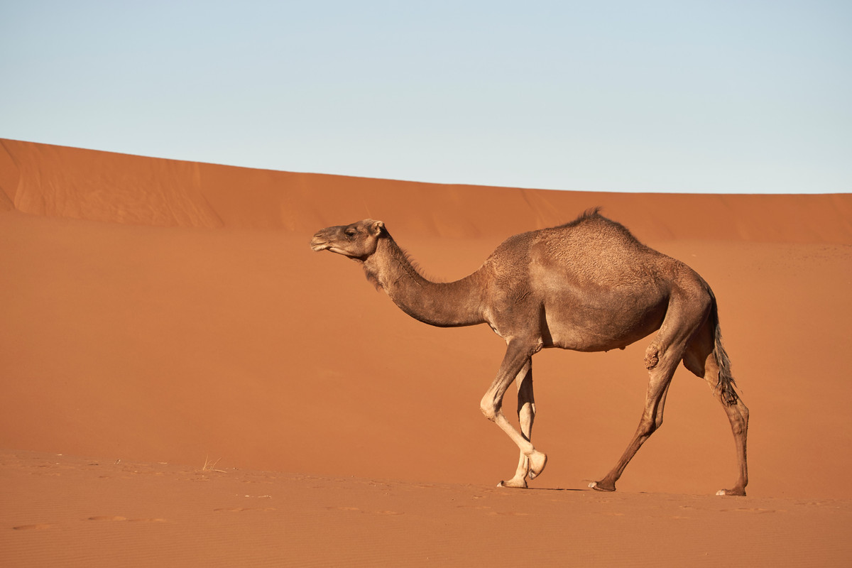 (تصاویر)