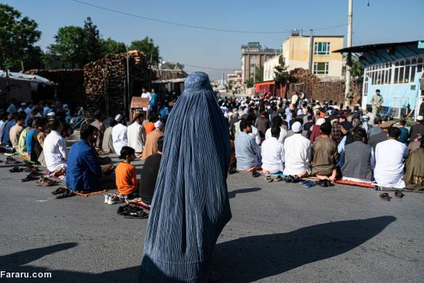 (تصاویر)