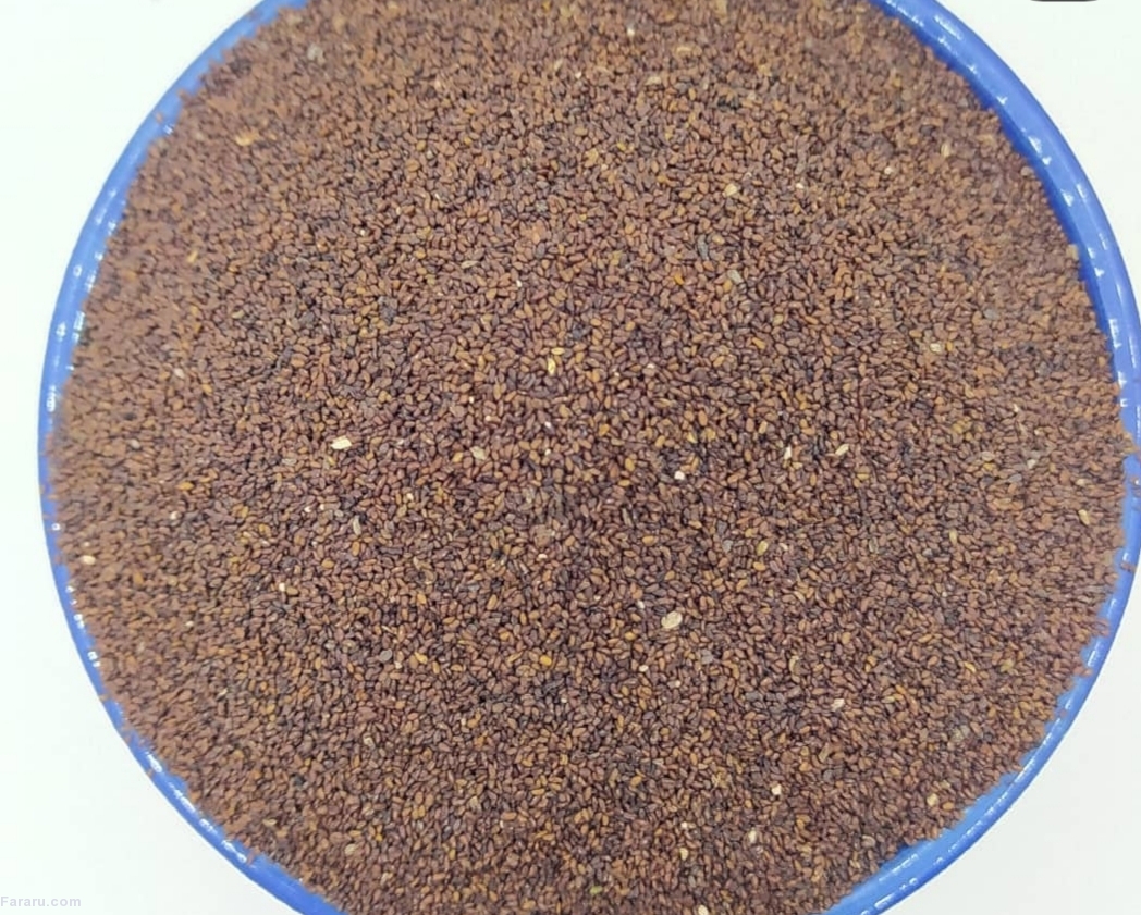 گیاه دارویی