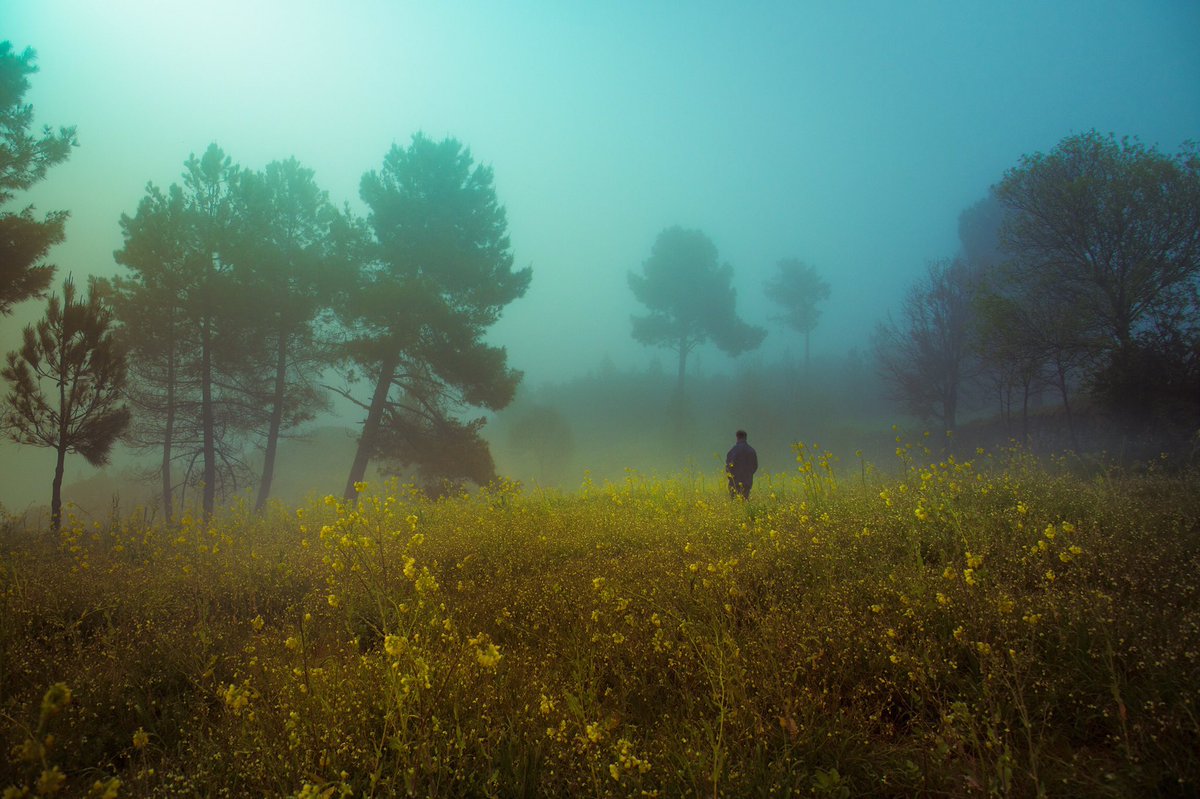 عکاسی از ابهام مه‌آلود منظره‌ها