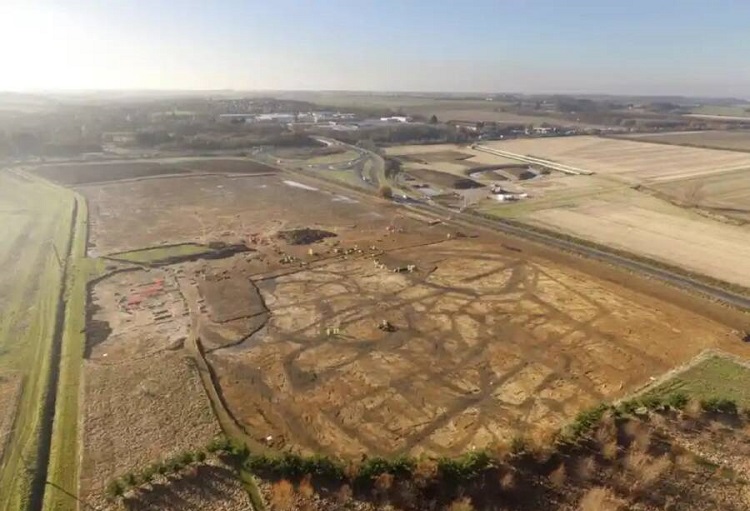 (تصاویر) کشف هزاران استخوان مرموز قورباغه در یک خانه باستانی