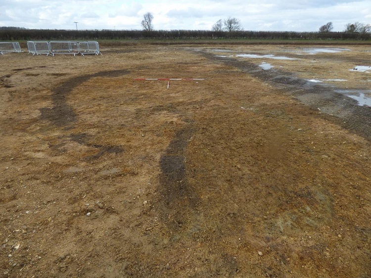 (تصاویر) کشف هزاران استخوان مرموز قورباغه در یک خانه باستانی