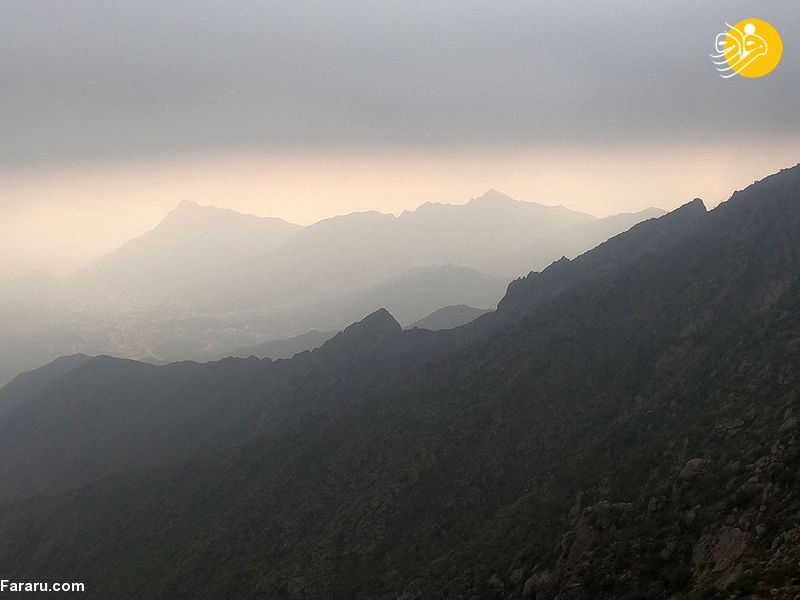 (تصاویر)
