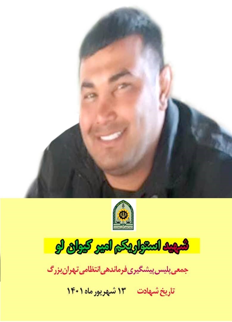  «استواریکم امیر کیوانلو»