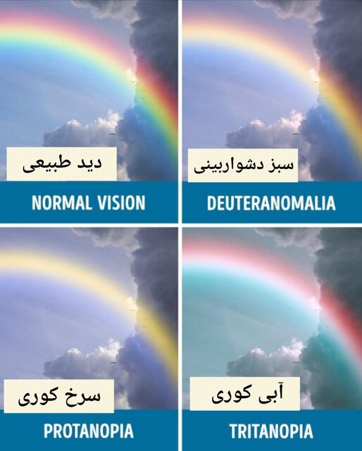 مبتلایان به کوررنگی