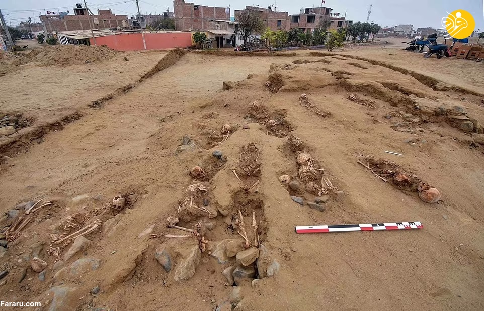 (تصاویر)