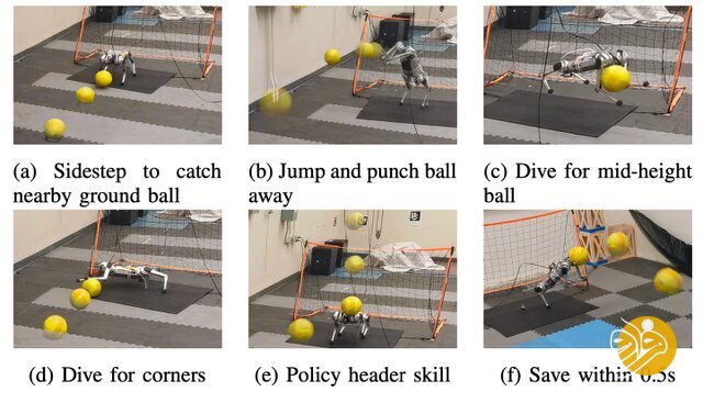 سگ رباتیک با عملکردی بهتر از دروازبانان لیگ برتر!
