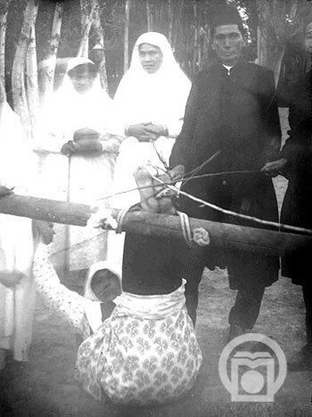 فلک