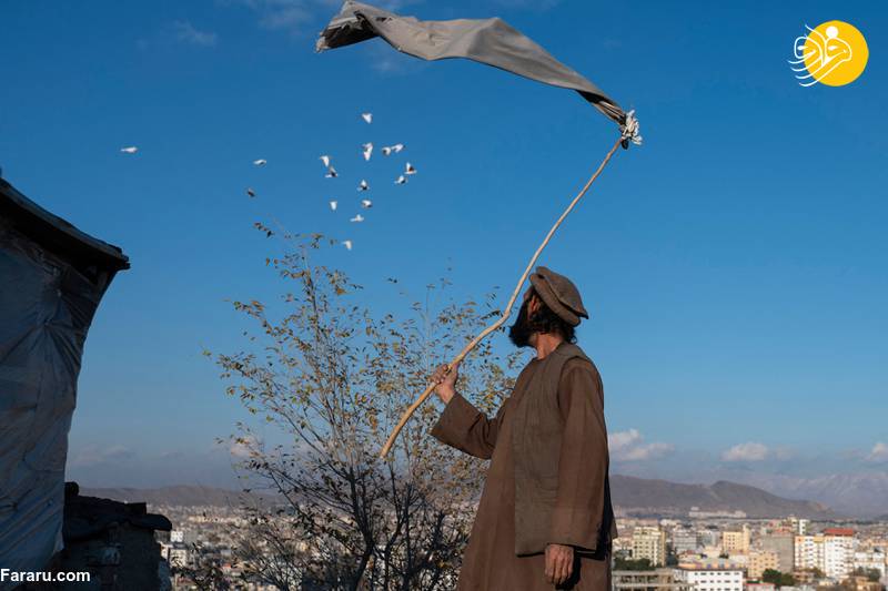 (تصاویر)