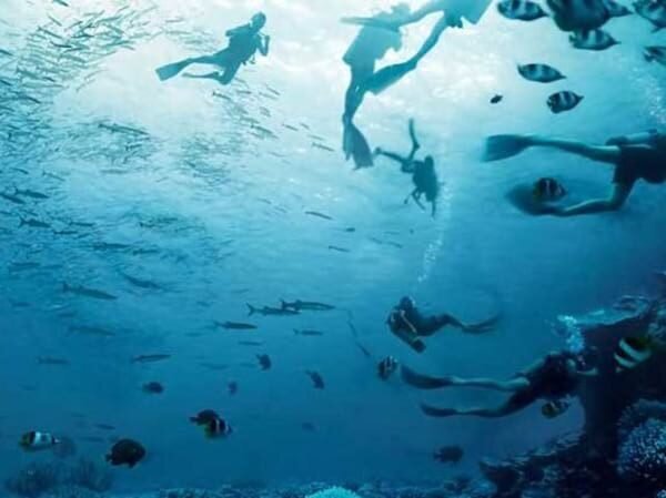 &nbsp;حس ششم و قدرت پیشگویی شما چقدر است؟