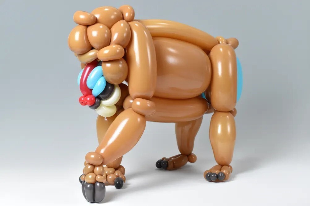 (تصاویر) هنرمندی ژاپنی که مجسمه حیوانات را به شکل بادکنک می‌سازد!