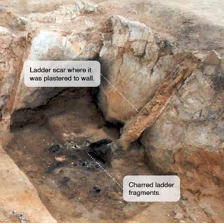 قدیمی‌ترین نردبان جهان