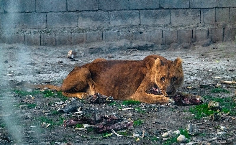 (تصاویر)