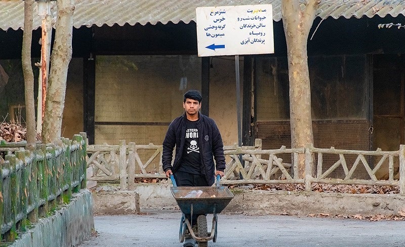 (تصاویر)