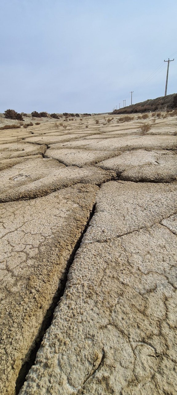 تصویری از مرگ تالاب بین المللی آلاگل