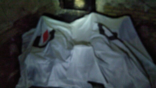 (تصاویر) جزئیات جدید از آتش‌سوزی مرگبار پارک وی