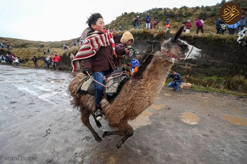 (تصاویر)