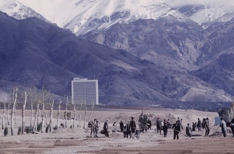 چنار‌های خیابان، ولی عصر (عج) را چه کسی کاشته است؟/ ماجرای ارباب خلیل و خزانه چنار‌های مرغوب