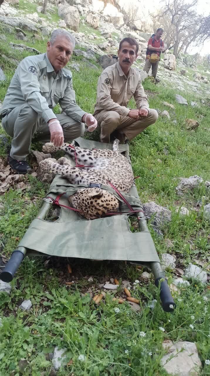 (عکس)