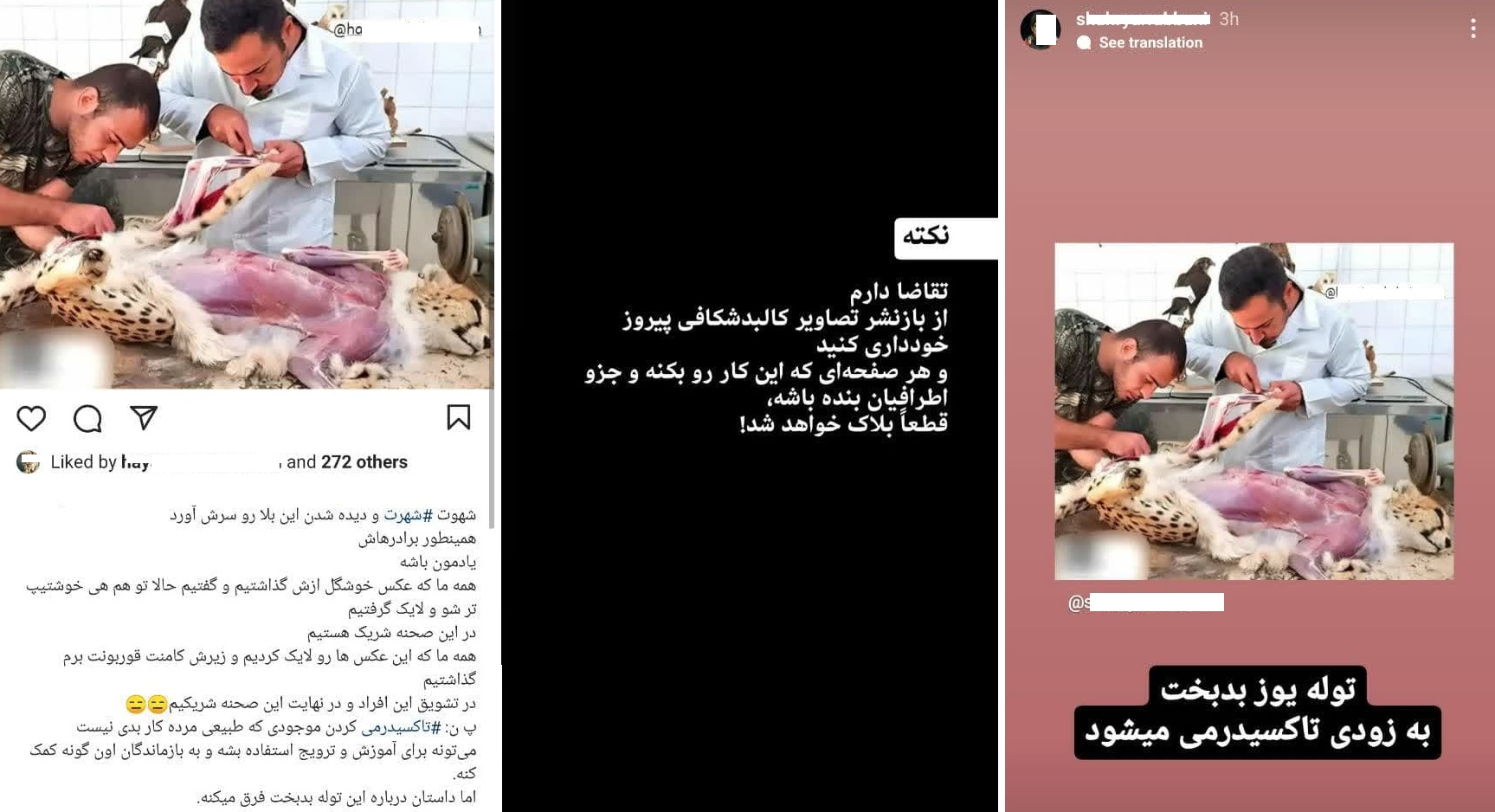 (عکس) از شایعه تا واقعیت؛ تصاویر پوست‌کندنِ «پیروز» واقعی است؟