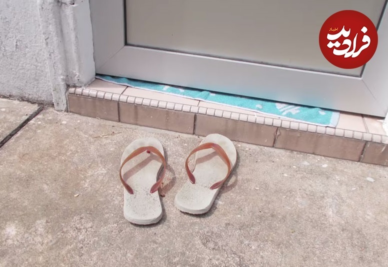 عکس‌های جالبی که یک سگ با ضربان قلبش گرفته است!